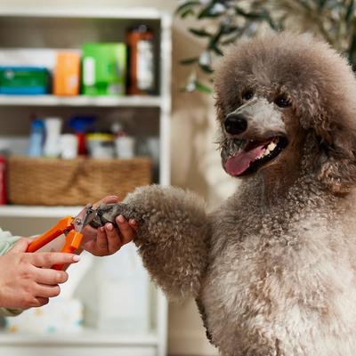 Millers Forge Nail Clipper