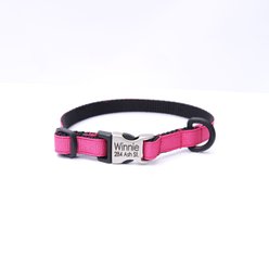 Mimi Green Engraved Buckle Ribbon Standard Cat & Dog Collar, Shocking Pink, Small