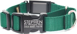 Mimi Green Fi Compatible Nylon Martingale Escape-Proof Dog Collar, Forest Green, Large: 18-22-in neck, 1-in wide