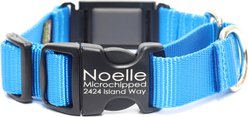 Mimi Green Fi Compatible Nylon Martingale Escape-Proof Dog Collar, Peacock Blue, X-Large: 22-26-in neck, 1-in wide slide 1 of 3