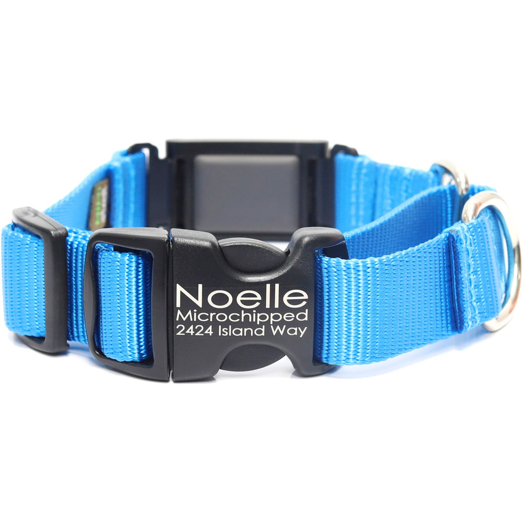 Mimi Green Fi Compatible Nylon Martingale Escape-Proof Dog Collar, Peacock Blue, X-Large: 22-26-in neck, 1-in wide