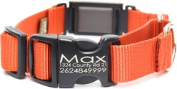 Mimi Green Fi Compatible Nylon Martingale Escape-Proof Dog Collar, pumpkin, X-Large: 22 to 26-in neck, 1-in wide slide 1 of 3