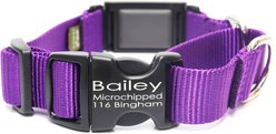 Mimi Green Fi Compatible Nylon Martingale Escape-Proof Dog Collar, Purple, X-Large: 22-26-in neck, 1-in wide