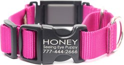 Mimi Green Fi Compatible Nylon Martingale Escape-Proof Dog Collar, Raspberry, Large: 18-22-in neck, 1-in wide