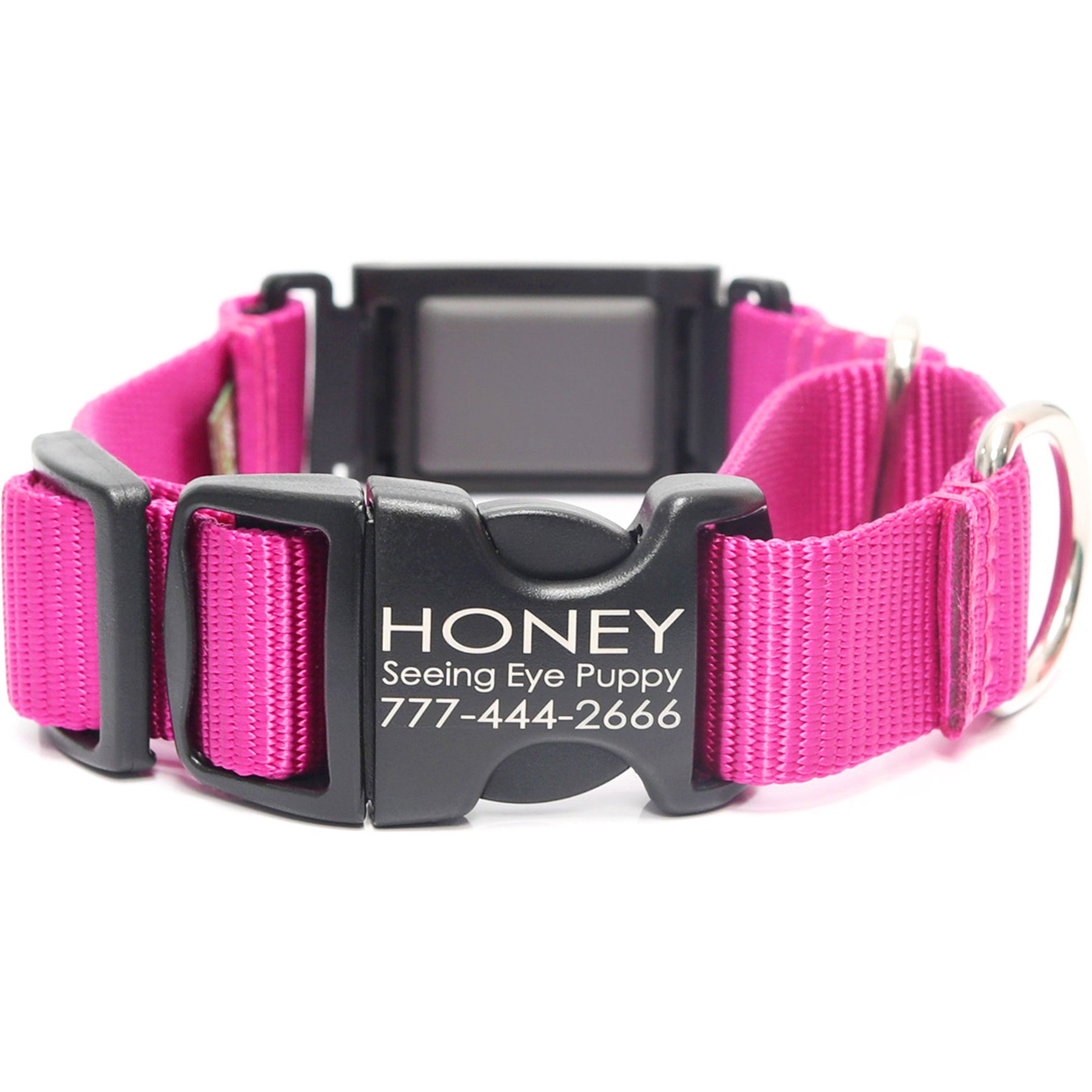 Mimi Green Fi Compatible Nylon Martingale Escape-Proof Dog Collar, Raspberry, X-Large: 22-26-in neck, 1-in wide