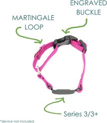 Mimi Green Fi Compatible Nylon Martingale Escape-Proof Dog Collar, Red, Large: 18-22-in neck, 1-in wide slide 2 of 3
