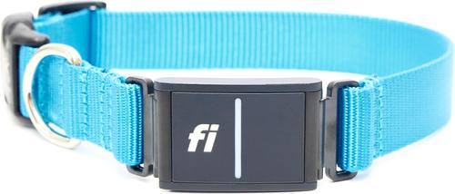 Show full view: Mimi Green Fi Series 3 Compatible Nylon Personalized Dog Collar, Peacock Blue, Medium slide 3 of 7