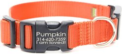 Mimi Green Fi Series 3 Compatible Nylon Personalized Dog Collar, Pumpkin, Large