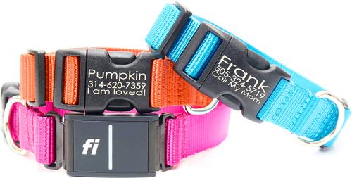 Show full view: Mimi Green Fi Series 3 Compatible Nylon Personalized Dog Collar, Pumpkin, Large slide 5 of 6