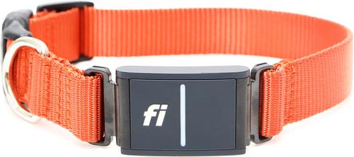 Show full view: Mimi Green Fi Series 3 Compatible Nylon Personalized Dog Collar, Pumpkin, Large slide 2 of 6