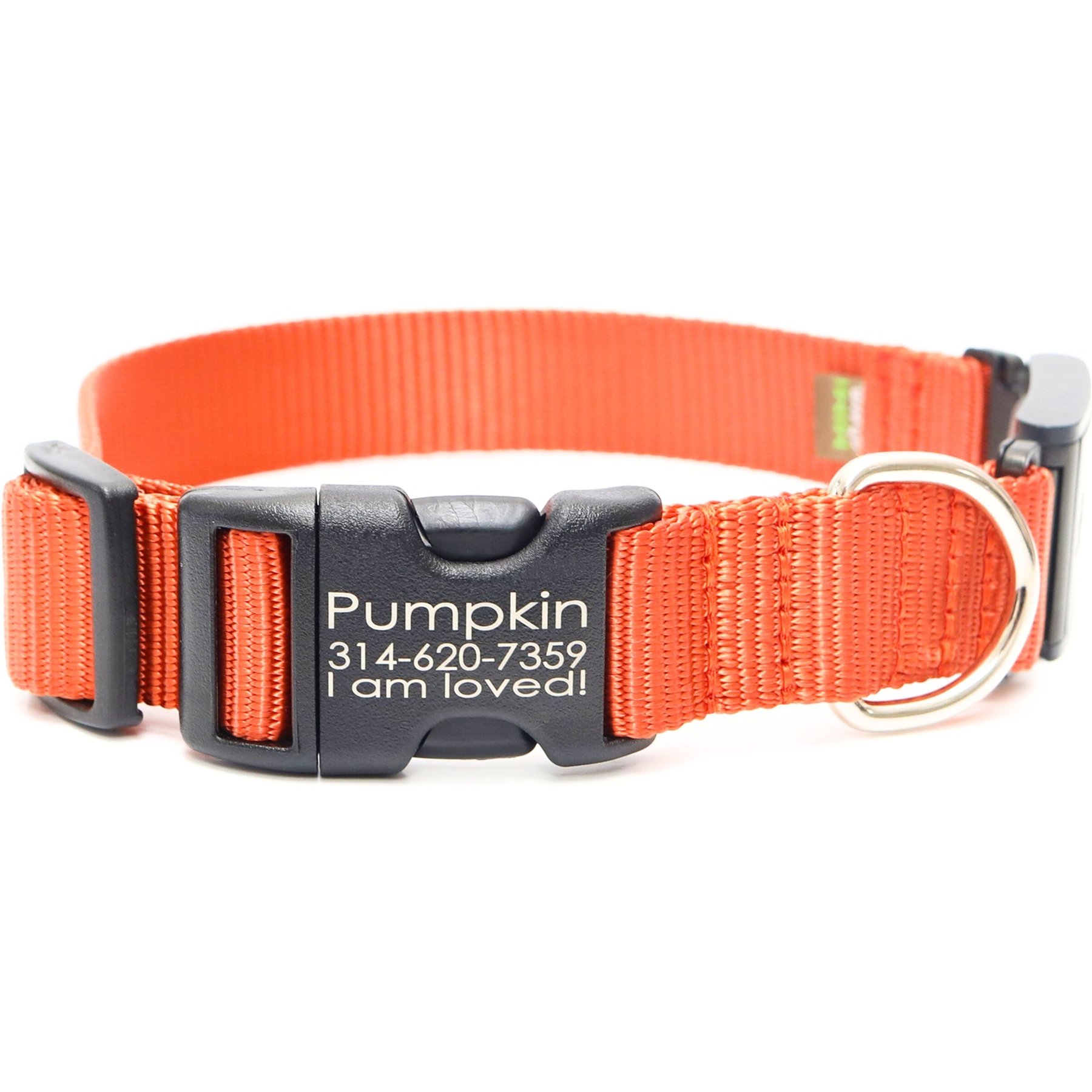 Mimi Green Fi Series 3 Compatible Nylon Personalized Dog Collar, Pumpkin, Medium