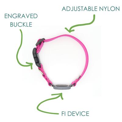 Show full view: Mimi Green Fi Series 3 Compatible Nylon Personalized Dog Collar, Purple, Large slide 4 of 6