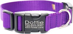 Mimi Green Fi Series 3 Compatible Nylon Personalized Dog Collar, Purple, Medium