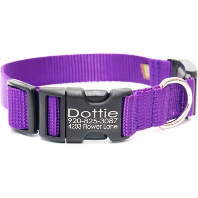 Mimi Green Mimi Green Fi Series 3 Compatible Nylon Personalized Dog Collar, Purple, Medium