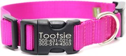 Mimi Green Fi Series 3 Compatible Nylon Personalized Dog Collar, Raspberry, Medium Long