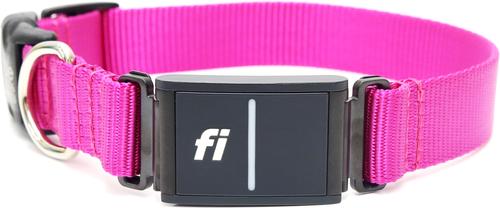 Show full view: Mimi Green Fi Series 3 Compatible Nylon Personalized Dog Collar, Raspberry, Small slide 3 of 7