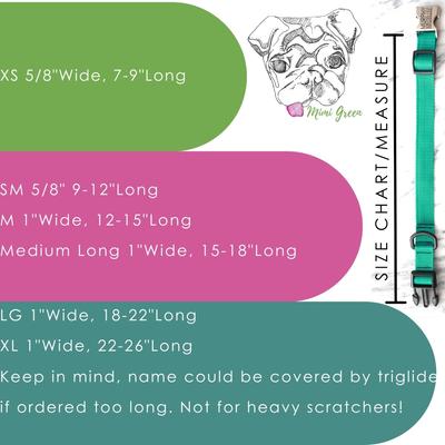 Show full view: Mimi Green Hand Embroidered Velvet Personalized Dog Collar, Hunter Green, X-Small: 7 to 9-in neck, 5/8-in wide slide 4 of 5