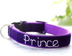 Mimi Green Hand Embroidered Velvet Personalized Dog Collar, Prince Purple, Medium: 12 to 15-in neck, 1-in wide
