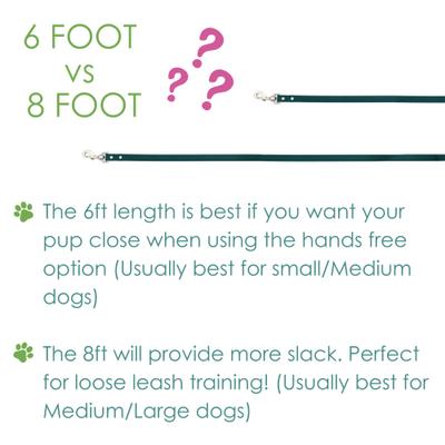 Mimi Green Hands Free Convertible Waterproof Biothane Dog Leash