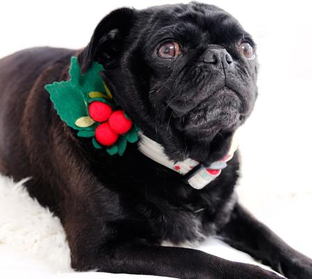 Show full view: Mimi Green Holly Dog & Cat Collar Accessory, Red/Green, Medium slide 2 of 3