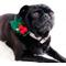 Show in main carousel: Mimi Green Holly Dog & Cat Collar Accessory, Red/Green, Small/Medium slide 2 of 4