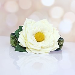 Mimi Green Joy Holiday Flower Dog Collar Accessory, Cream, Medium: Thin