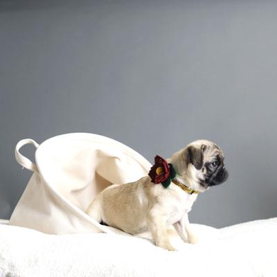 Show full view: Mimi Green Joy Holiday Flower Dog Collar Accessory, Dark Red, Medium slide 2 of 5