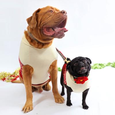 Show full view: Mimi Green Joy Holiday Flower Dog Collar Accessory, Red, Small slide 2 of 5