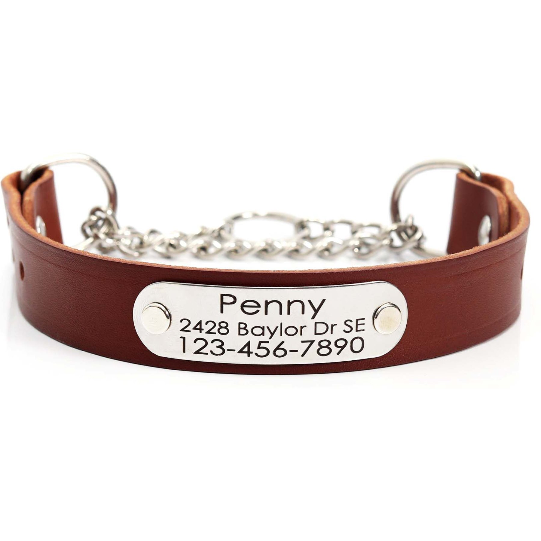 Mimi Green Leather Martingale Dog Collar with ID Riveted Nameplate, Brown, Large