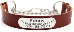 Mimi Green Leather Martingale Dog Collar with ID Riveted Nameplate, Brown, Medium/Long