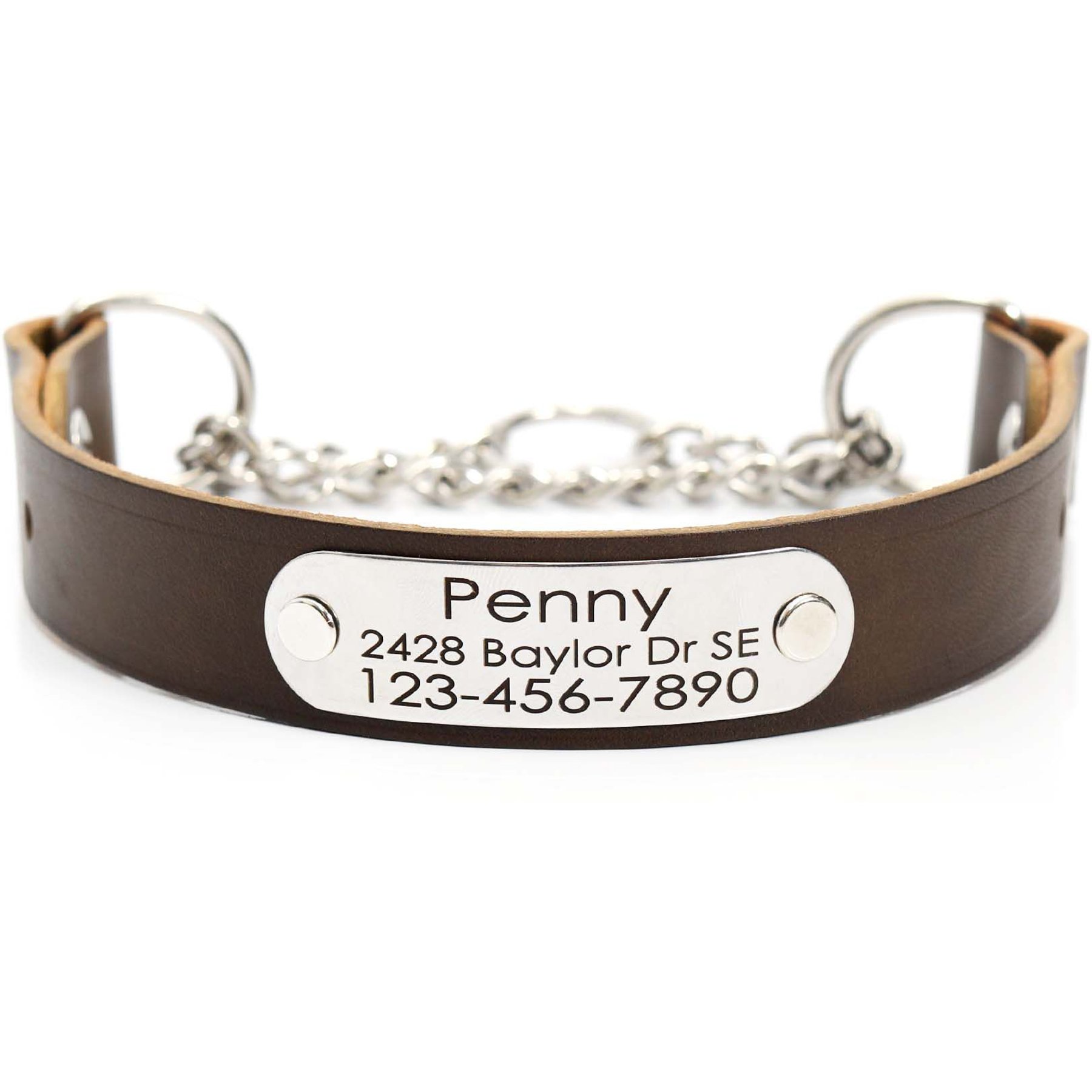 Mimi Green Leather Martingale Dog Collar with ID Riveted Nameplate, Olive, Medium
