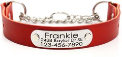 Mimi Green Leather Martingale Dog Collar with ID Riveted Nameplate, Red, Medium/Long