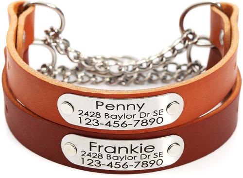 Show full view: Mimi Green Leather Martingale Dog Collar with ID Riveted Nameplate, Red, X-Large slide 2 of 5