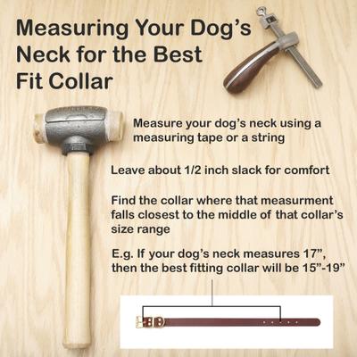 Show full view: Mimi Green Leather with Personalized Name Plate Dog Collar, Brown, Medium-Large: 18 to 22-in neck, 1-in wide slide 4 of 7