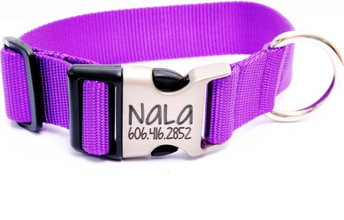 Show full view: Mimi Green Nylon Personalized Dog Collar + ID Tag, Purple, Large: 18 to 22-in neck, 1.5-in wide slide 1 of 2