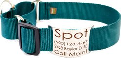 Mimi Green Nylon Personalized Martingale with Nameplate Dog Collar, Forest Green, Medium Long: 15 to 18-in neck, 1.5-in wide