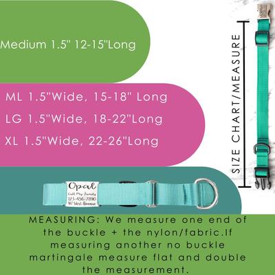 Show full view: Mimi Green Nylon Personalized Martingale with Nameplate Dog Collar, Forest Green, Medium Long: 15 to 18-in neck, 1.5-in wide slide 3 of 3