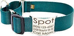 Mimi Green Nylon Personalized Martingale with Nameplate Dog Collar, Forest Green, X-Large: 22 to 26-in neck, 1.5-in wide