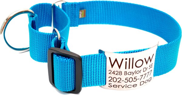 Show full view: Mimi Green Nylon Personalized Martingale with Nameplate Dog Collar, Peacock Blue, X-Large: 22 to 26-in neck, 1.5-in wide slide 1 of 3