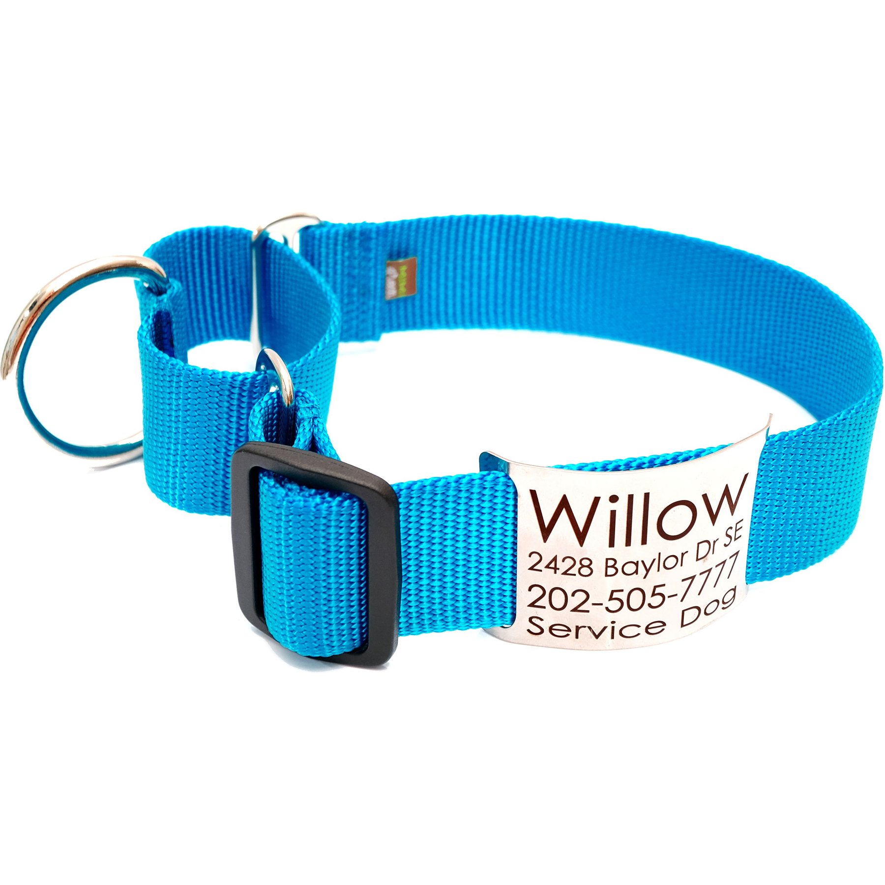 Mimi Green Nylon Personalized Martingale with Nameplate Dog Collar, Peacock Blue, X-Large: 22 to 26-in neck, 1.5-in wide