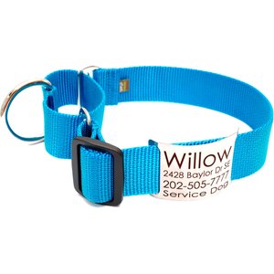 Mimi Green Nylon Personalized Martingale with Nameplate Dog Collar, Peacock Blue, X-Large: 22 to 26-in neck, 1.5-in wide