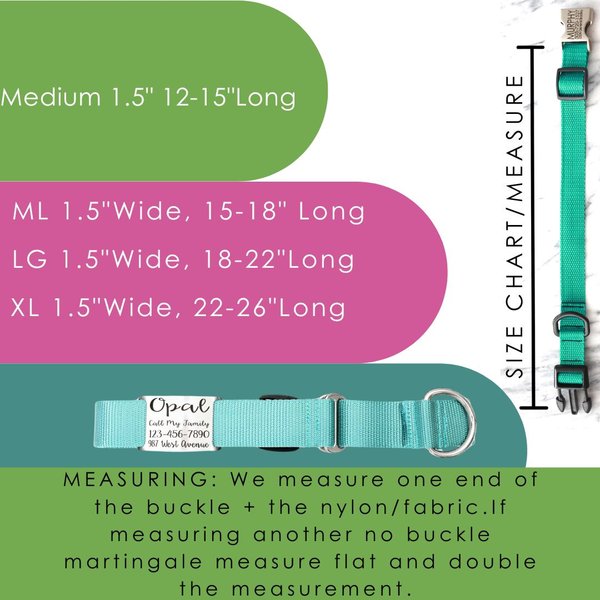 Show full view: Mimi Green Nylon Personalized Martingale with Nameplate Dog Collar, Peacock Blue, X-Large: 22 to 26-in neck, 1.5-in wide slide 3 of 3