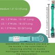 Show in main carousel: Mimi Green Nylon Personalized Martingale with Nameplate Dog Collar, Peacock Blue, X-Large: 22 to 26-in neck, 1.5-in wide slide 3 of 3