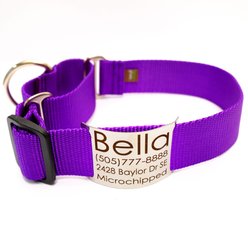 Mimi Green Nylon Personalized Martingale with Nameplate Dog Collar, Purple, Large: 18 to 22-in neck, 1.5-in wide