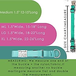 Mimi Green Nylon Personalized Martingale with Nameplate Dog Collar, Purple, Medium Long: 15 to 18-in neck, 1.5-in wide slide 2 of 3