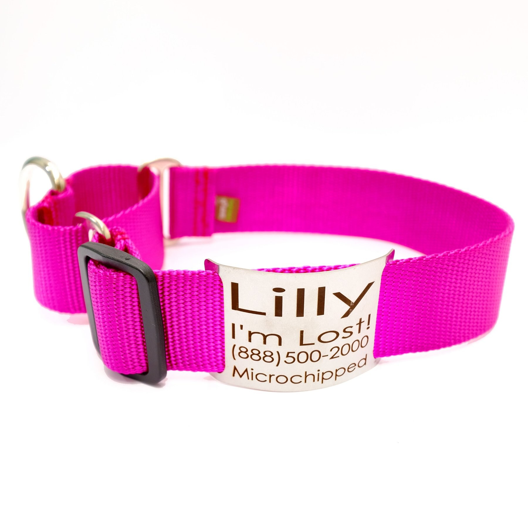 Mimi Green Nylon Personalized Martingale with Nameplate Dog Collar, Raspberry, Medium Long: 15 to 18-in neck, 1.5-in wide