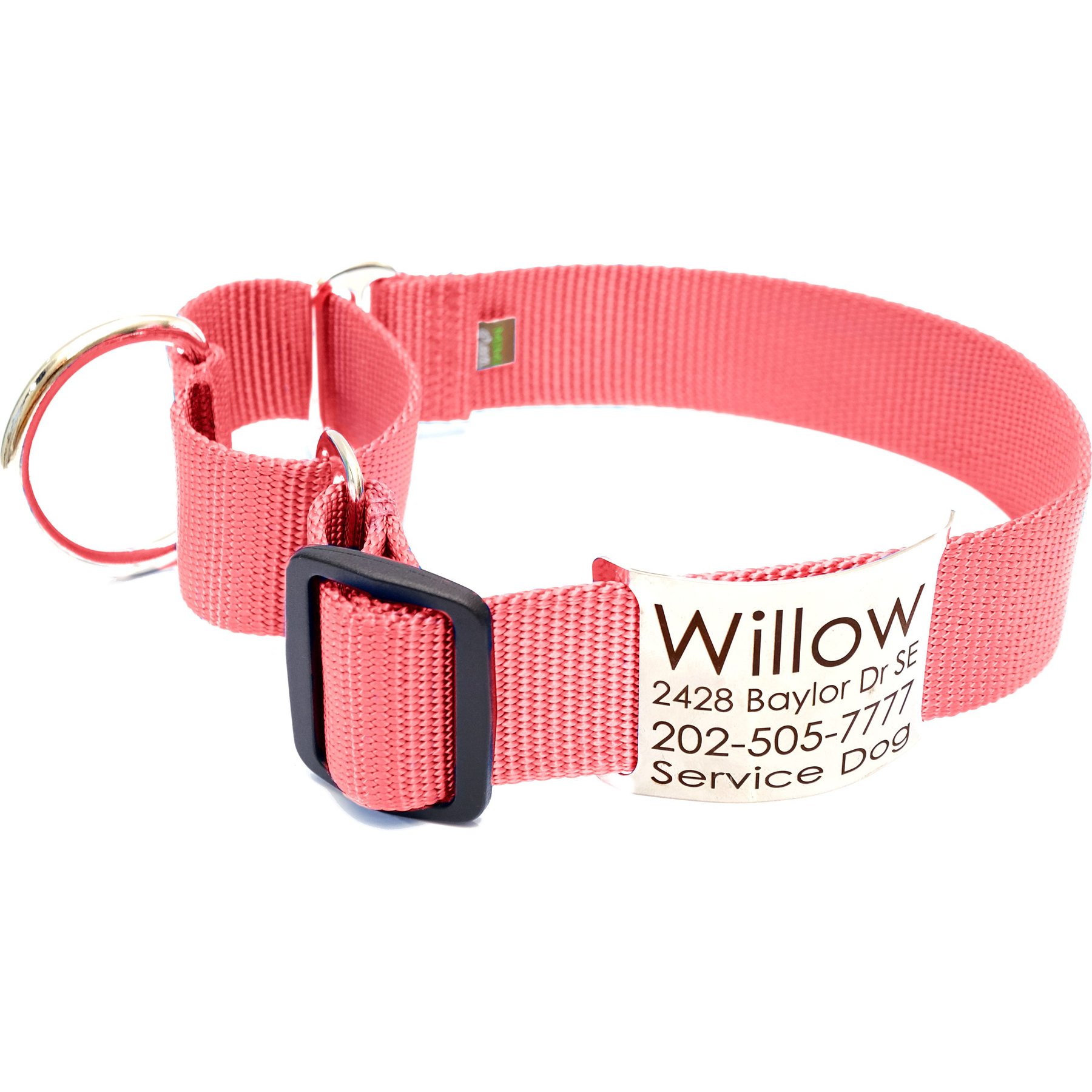 Mimi Green Nylon Personalized Martingale with Nameplate Dog Collar, Strawberry Pink, Large: 18 to 22-in neck, 1.5-in wide
