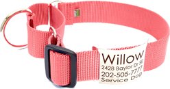 Mimi Green Nylon Personalized Martingale with Nameplate Dog Collar, Strawberry Pink, Medium: 12 to 15-in neck, 1.5-in wide