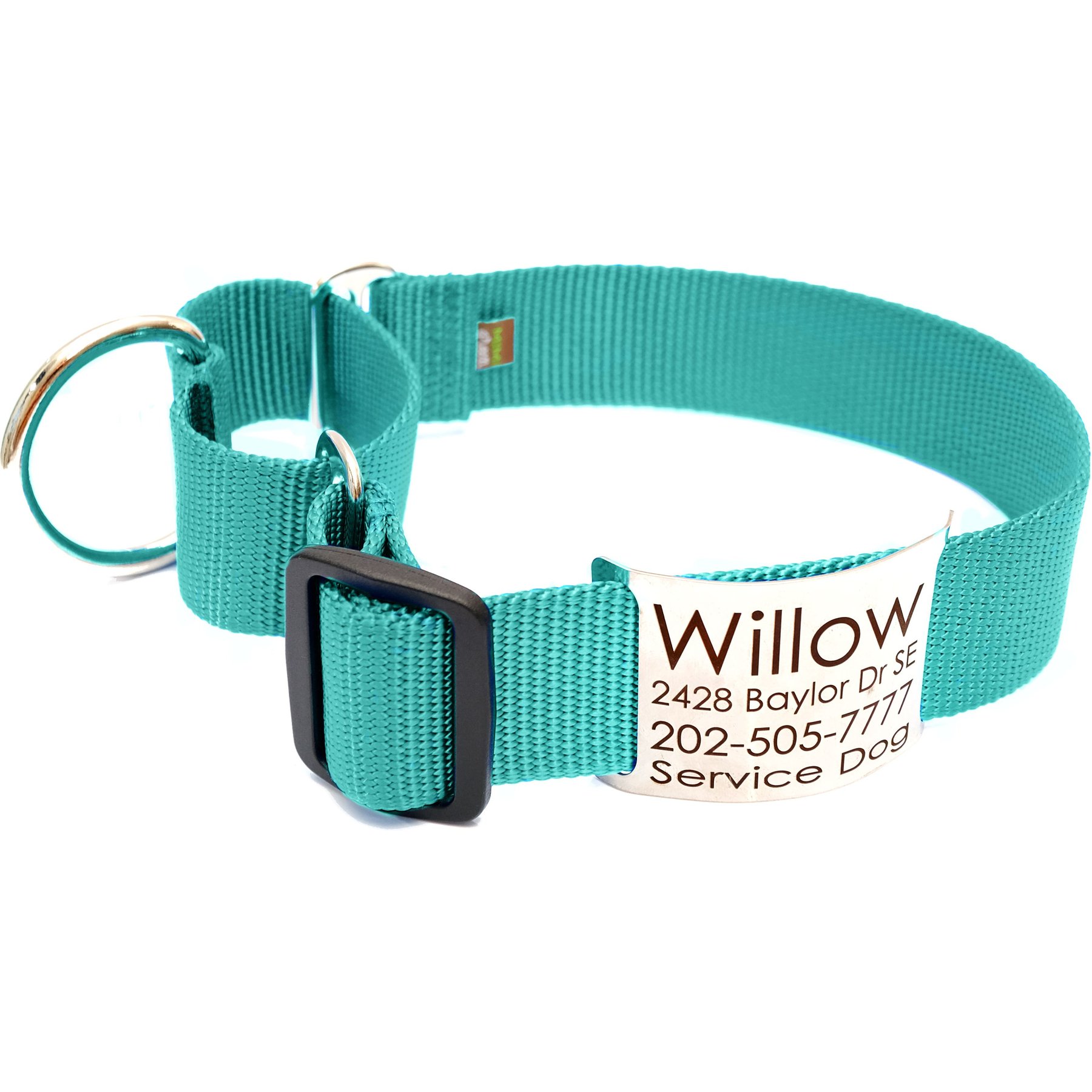 Mimi Green Nylon Personalized Martingale with Nameplate Dog Collar, Teal, Medium Long: 15 to 18-in neck, 1.5-in wide