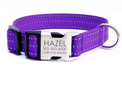 Mimi Green Nylon Personalized Reflective Hybrid Buckle Dog Collar, Purple, X-Large
